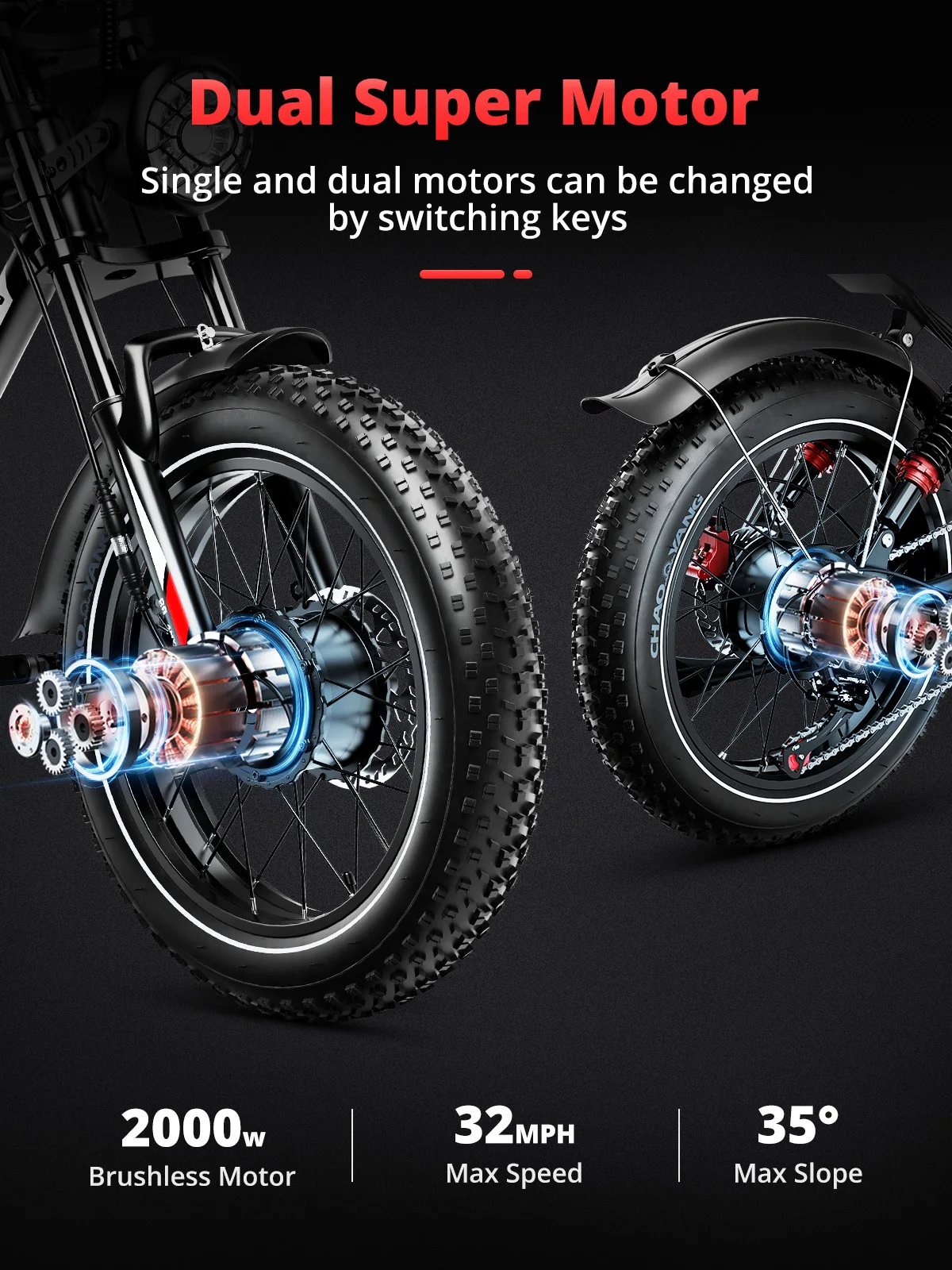 Long Range Electric Bicycle with Dual Single Rear Hub Motor 250W Popular Bike 2000W Bicycle Electric