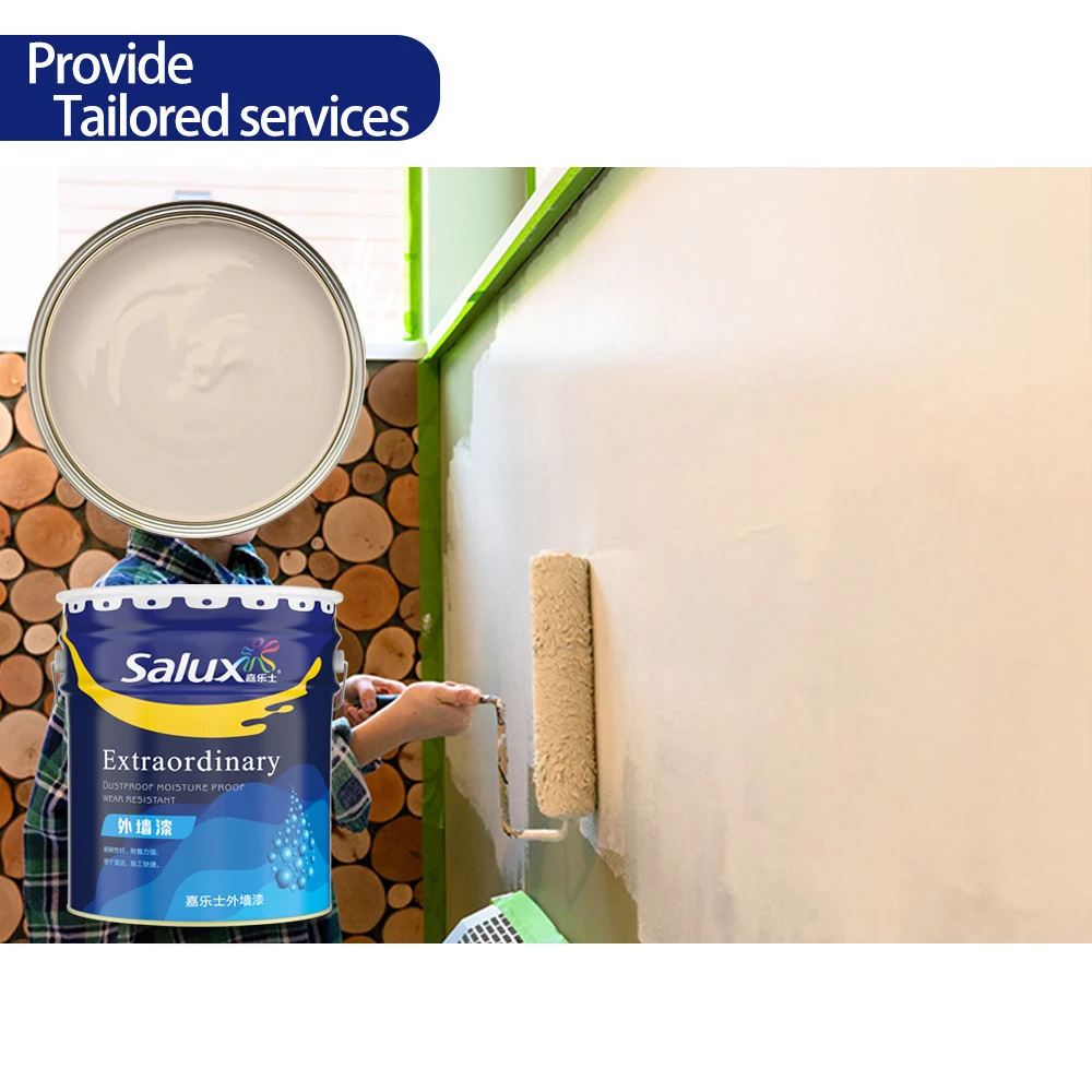 Washable Interior Design Acrylic Pva Matt Plaster Exterior Latex Coating Wall Emulsion Paint