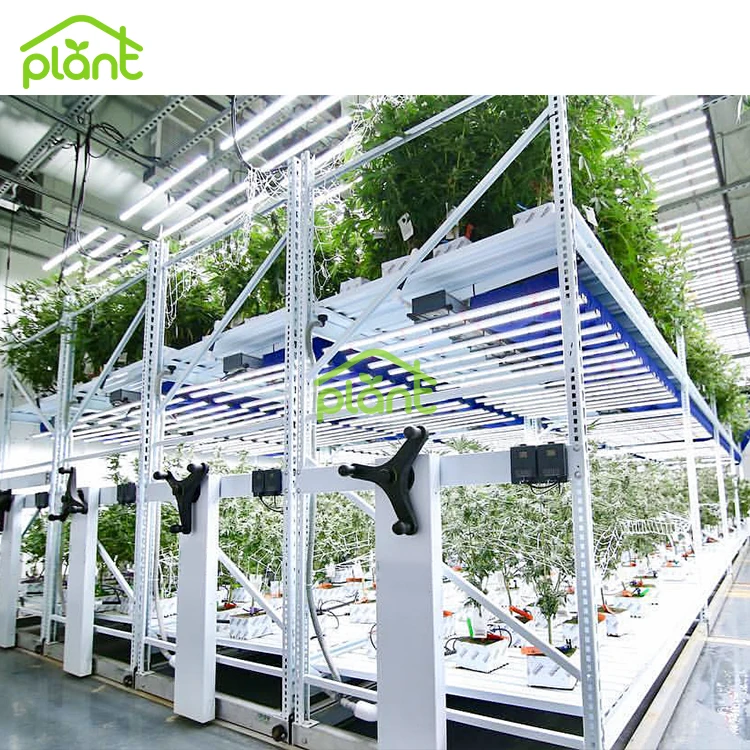 Multi Level Growing Rack Hydroponic Ebb and Flow Growing System Vertical Grow Rack