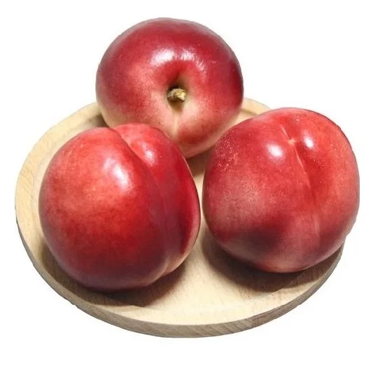 Quality assurance 100% natural fresh stone fruit class A red Australian fresh nectarine