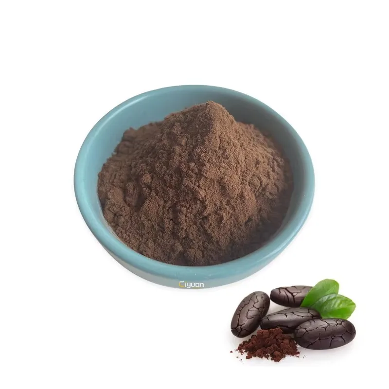 Factory Manufacturer Cocoa Powder Theobroma Cacao Extract Powder Theobromine 6% 10% 98%