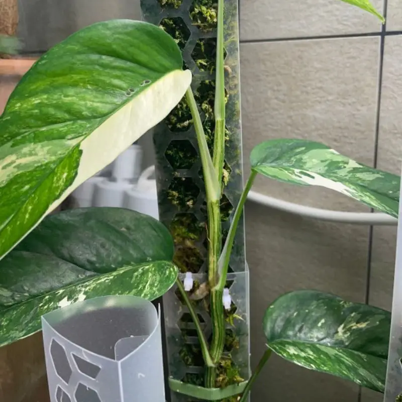 coco coir totem plants monstera garden small extension indoor climbing plant support stick hanging outdoor  pole moss poles