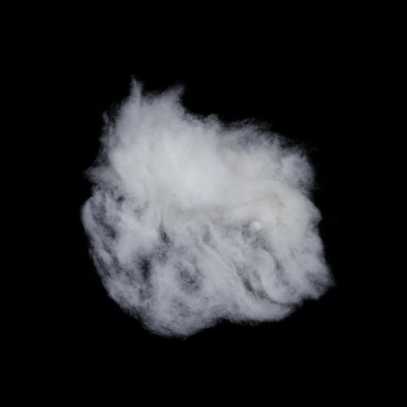 23-24mic 30mm carded sheep wool fiber for spinning yarn quality carded sheep wool fiber