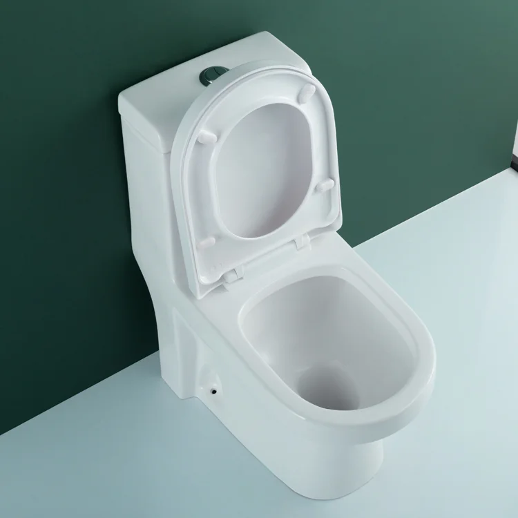 WDSI Incenoration Toilet Sitz Bath For Toilet Seat Toilet Sanitary