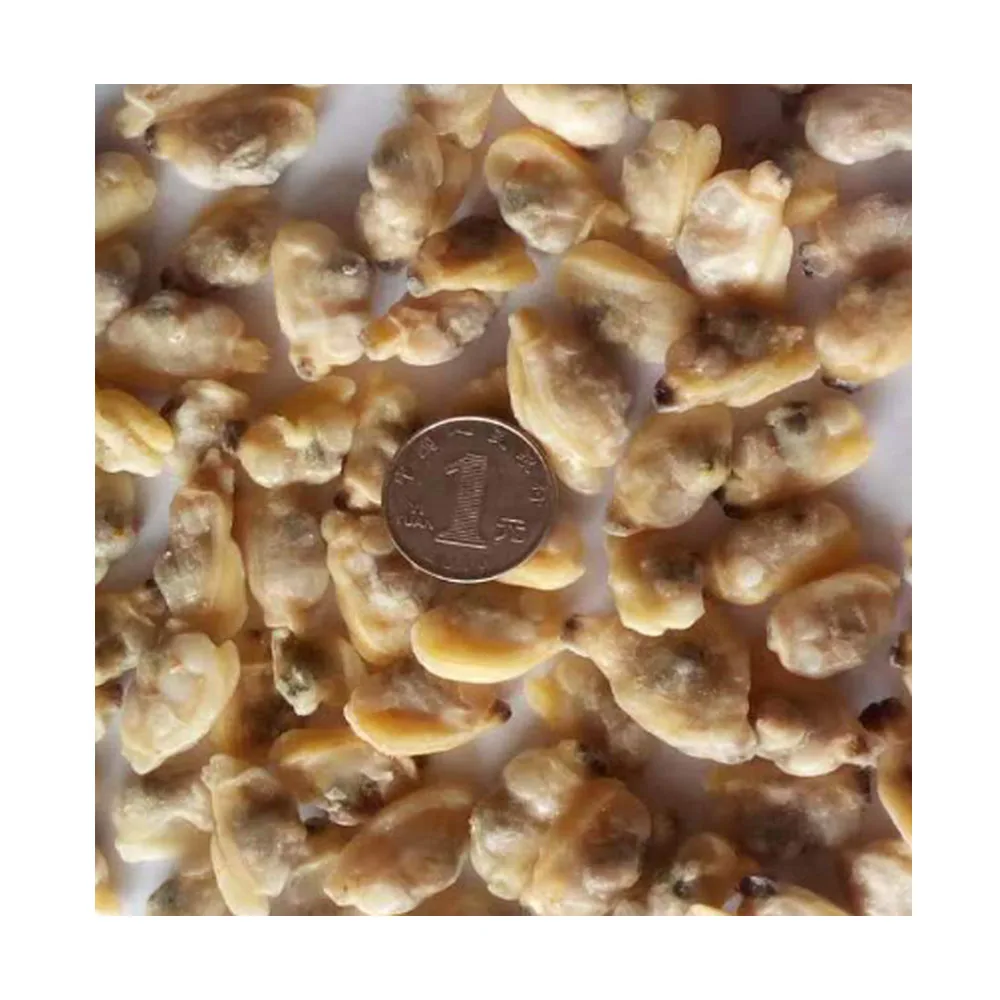 Economical Custom Design Delicious Healthy Frozen Boiled seafood products baby clam meat