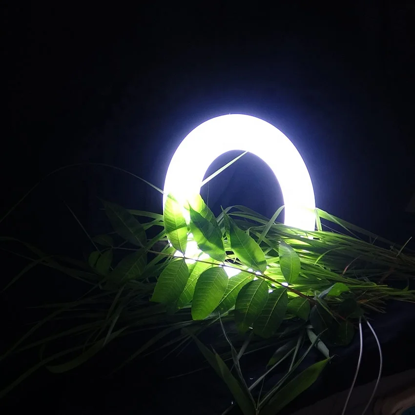 
Custom Electronic Illuminated Lettering Signs 