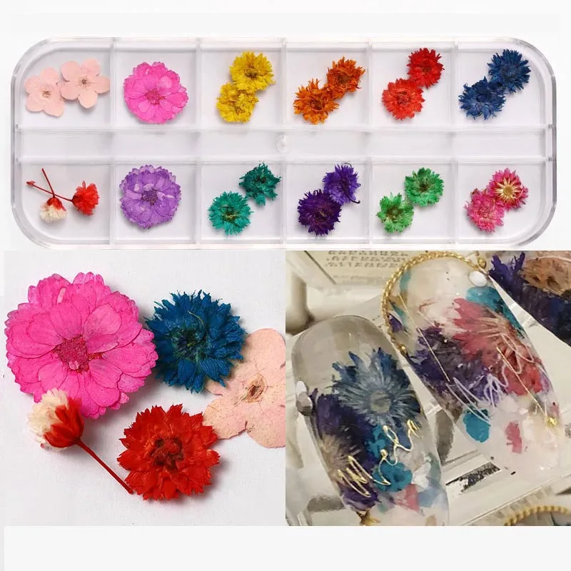 Quality Natural Mini Mixed Style Natural Flower 3D Stickers Decals Real Dried Flowers For Nails