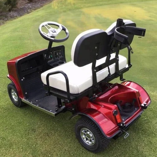 Curtis controller cheap kids racing golf cart for sale