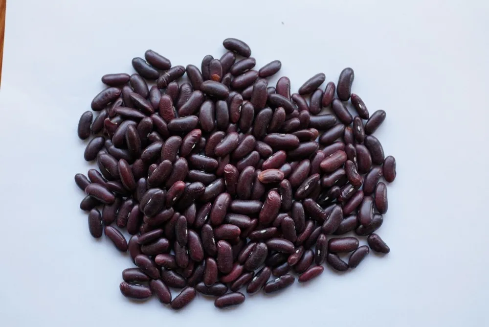 
HOT SELLING RED KIDNEY BEANS FROM VIETNAM 
