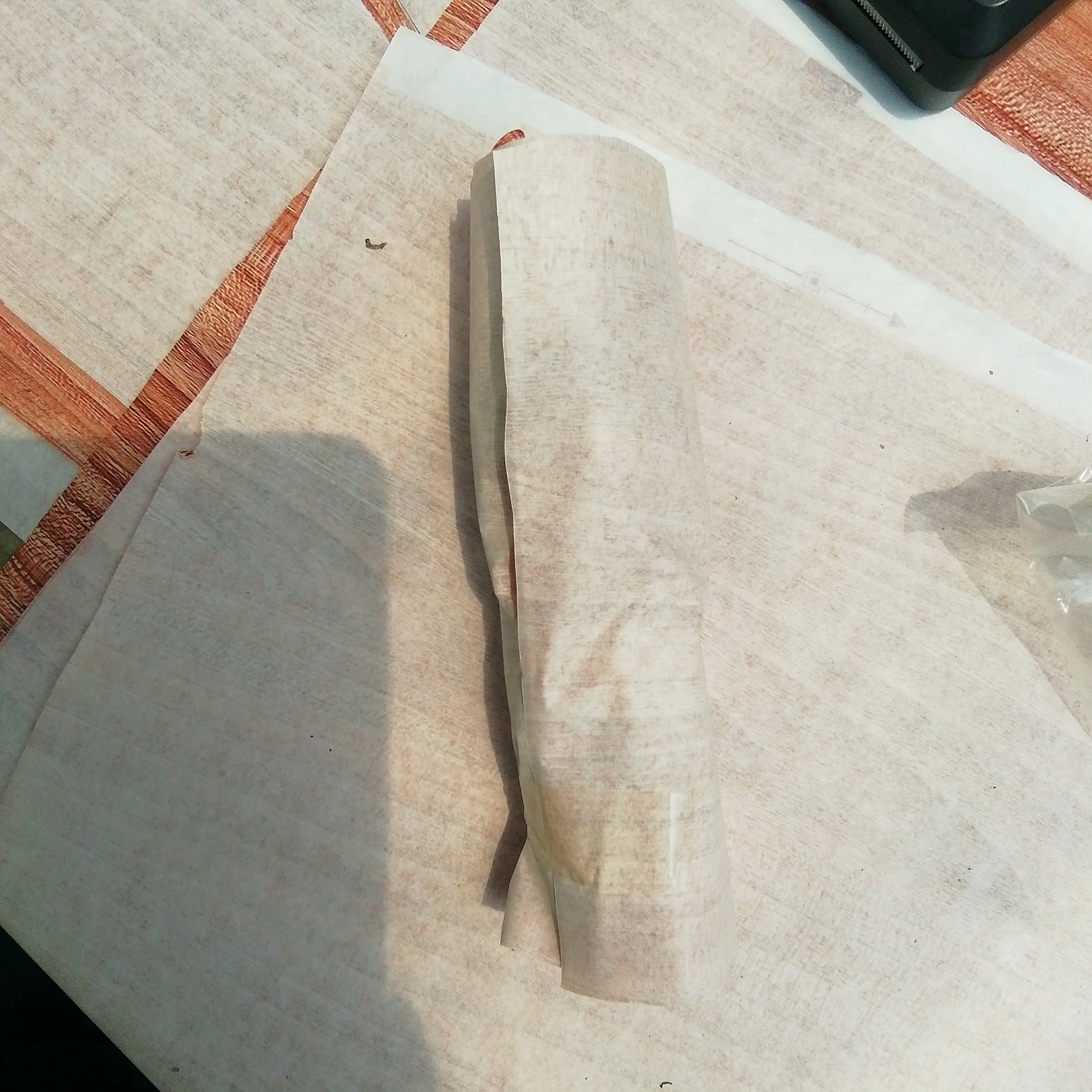 
Indoor ornamental plant hot wholesale high quality real plants Hoya Carnosa Stardust of indoor plants Supplier 