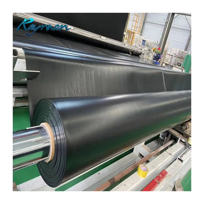 HDPE Pond Liner 0.75mm 1.0mm 1.5mm HDPE Geomembrane Price for Pond Water Harvesting Structure HDPE Geomembrane