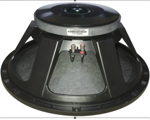 professional speaker subwoofer sound speaker 21 inch audio speaker