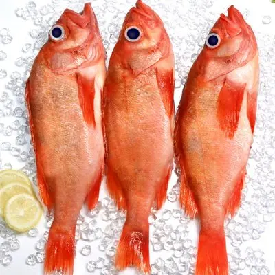  Shandong Ocean Village Food Clean and Delicious EU Standard Chemical Treated IQF Frozen