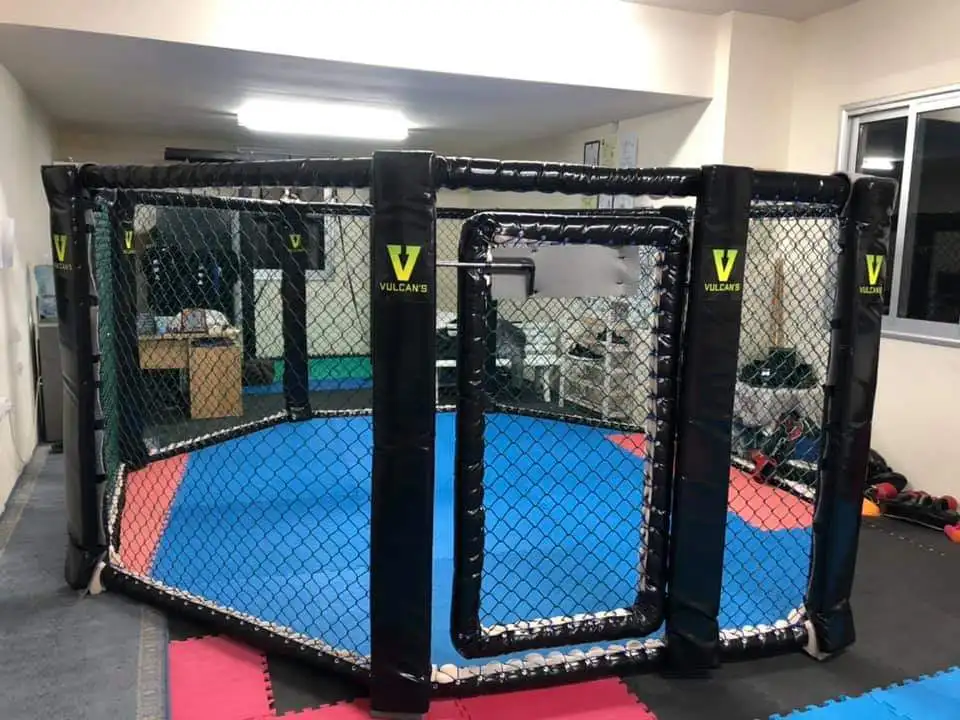 Hot selling cheap mma cage octagon custom fight cage for home gym use