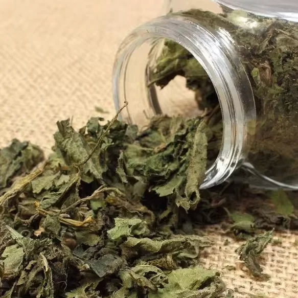 High Quality Wholesale Custom Cheap Nettle Leaf  Healthy Tea Drinks