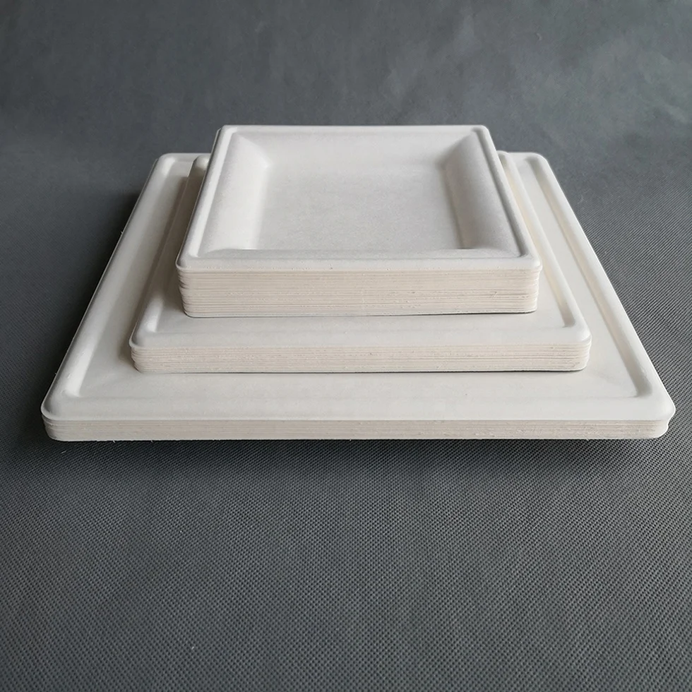 Disposable Paper Square Plates Biodegradable Square Dinner Plates White 10 Inch 6 Inch 8Inch Square Plate Bagasses Paper Pulp
