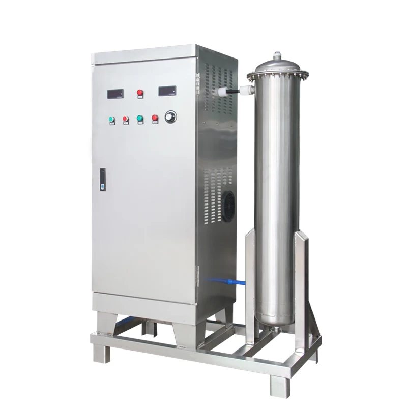 200g 300g 400g 500g ozone generator water ozonator large scale water treatment system