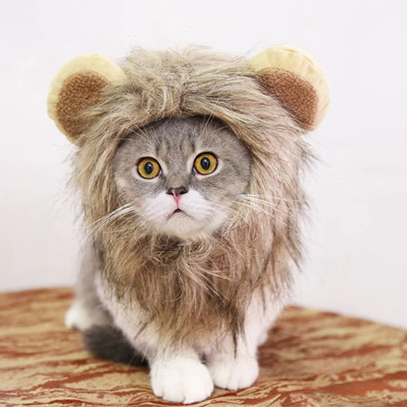 Factory Cute Pet Small Dog Cats Custom Lion Mane Wig Hoods Hat for Cat Dogs