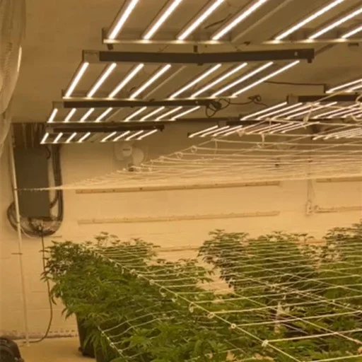 BLE 720W Samsung 301b with Red Ray LED Grow Light for Home Grower Tent to Supplement Lighting