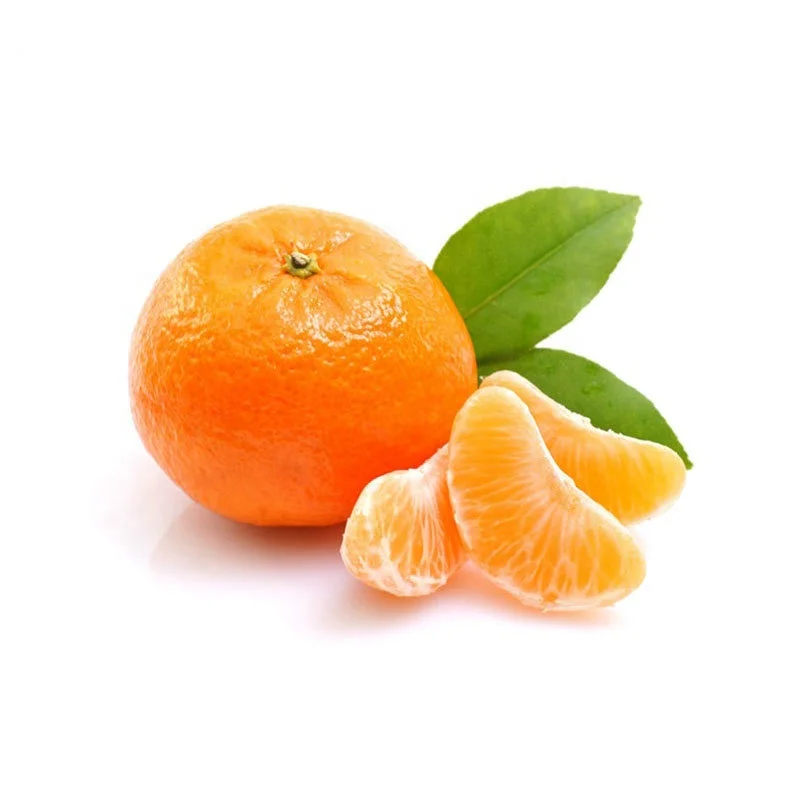Wo mandarin sweet orange wholesale price fresh mandarin year round supply of natural  mandarin sweet citrus