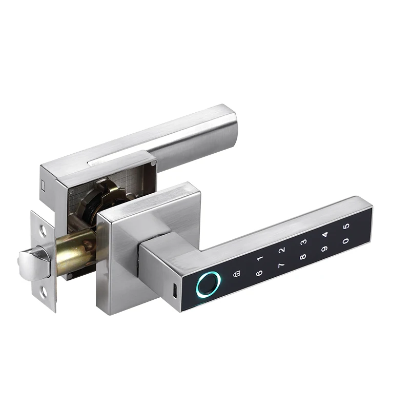 Household Convenient  fingerprint Lever Handle  Apartment Digital Password Key Biometric Fingerprint Digital code Door Lock