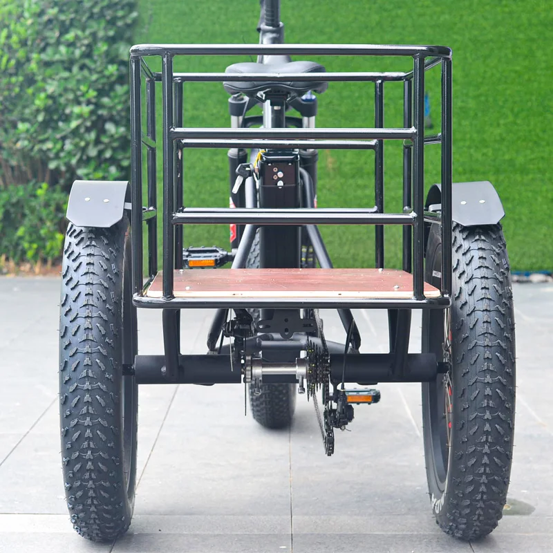 BEITE/TDE-09Z 250W Bafang electric bicycle, with wooden box