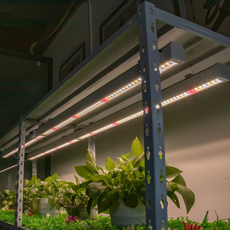 65W splicing connect Clone LED Grow Light  available APP and knob dimmer function for Greenhouse Plant Grow