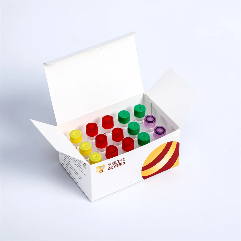 NGS Library Construction Fast DNA Library Plus Prep Kit K004-A/K004-B