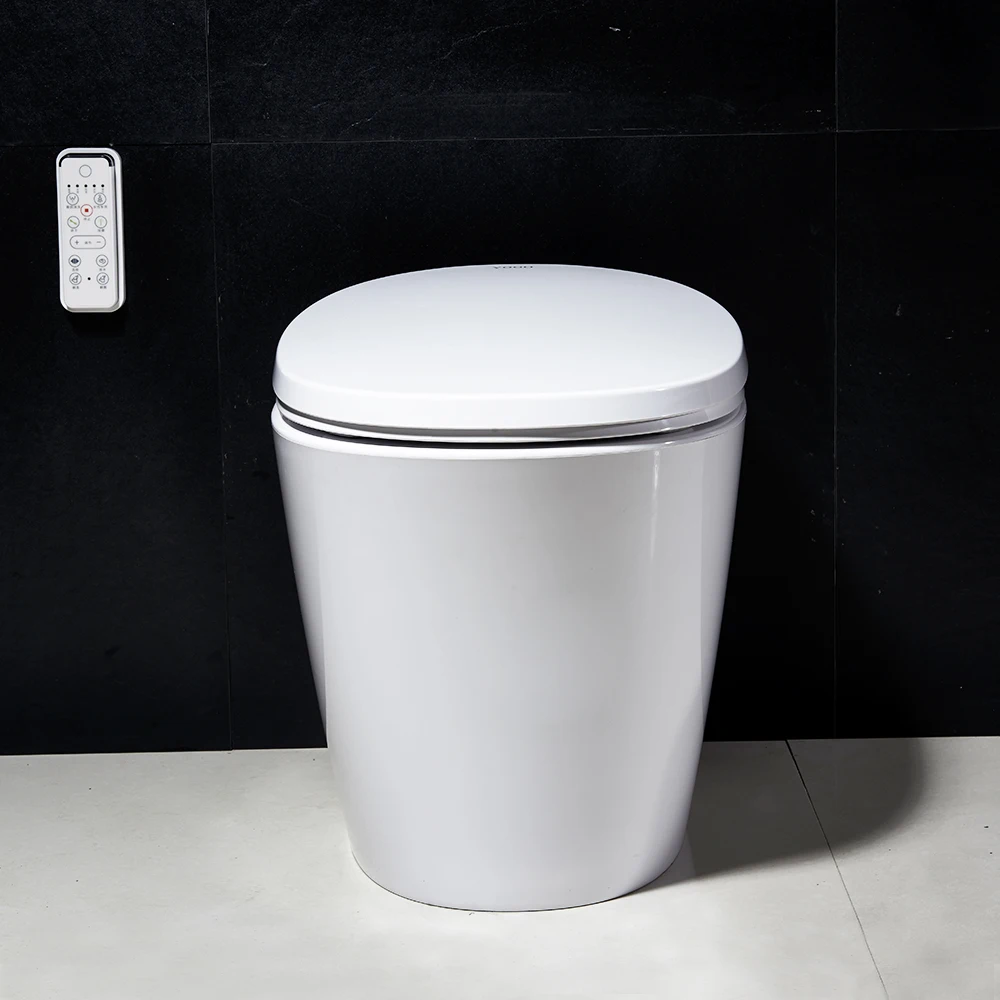 Wc intelligent sanitary wares electronic smart toilet