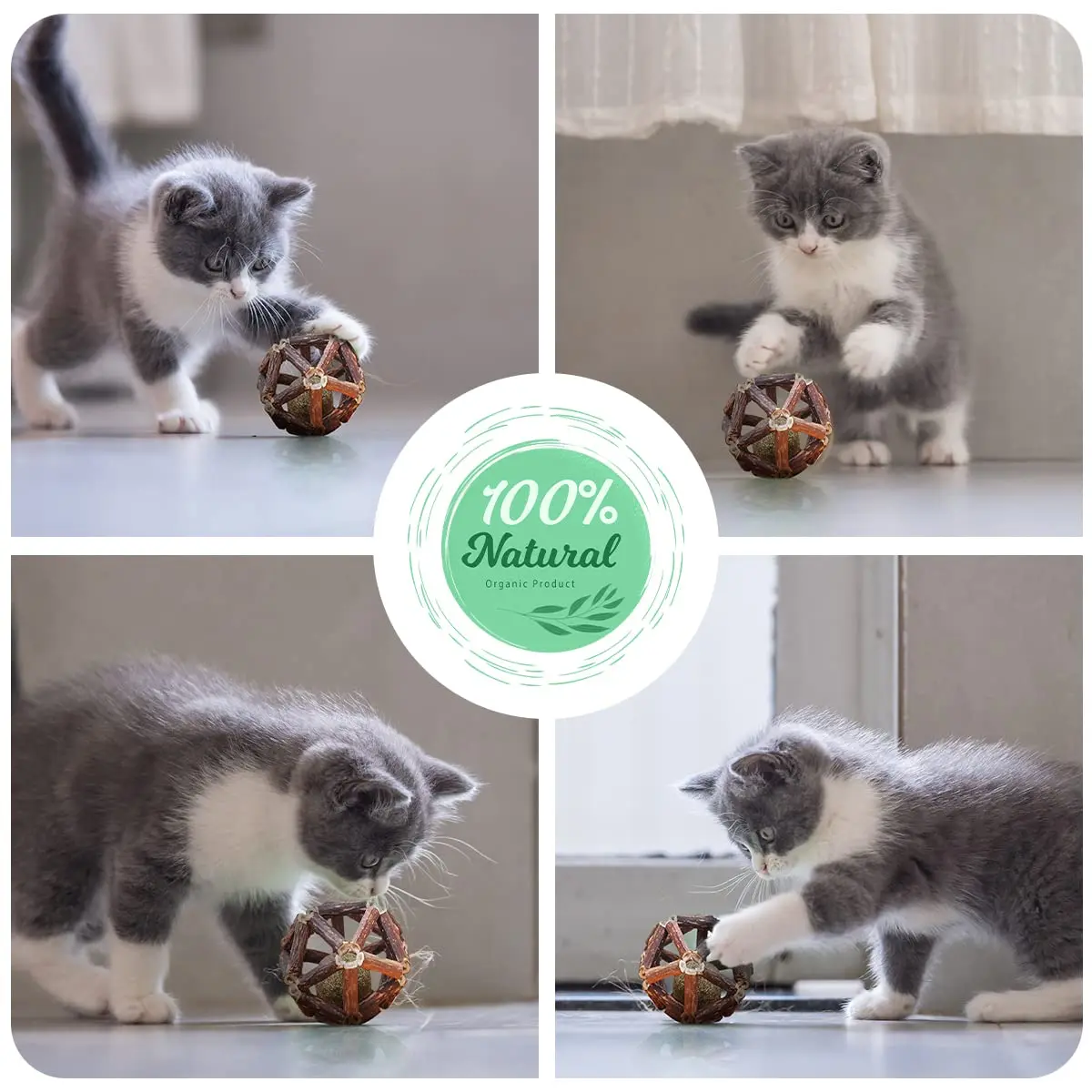 Petdom Catnip Natural Silvervine Stick Bell Ball For Indoor Cleaning Teeth Molar Tools Chew Toy Kitten Scratcher Mint Cat Toy