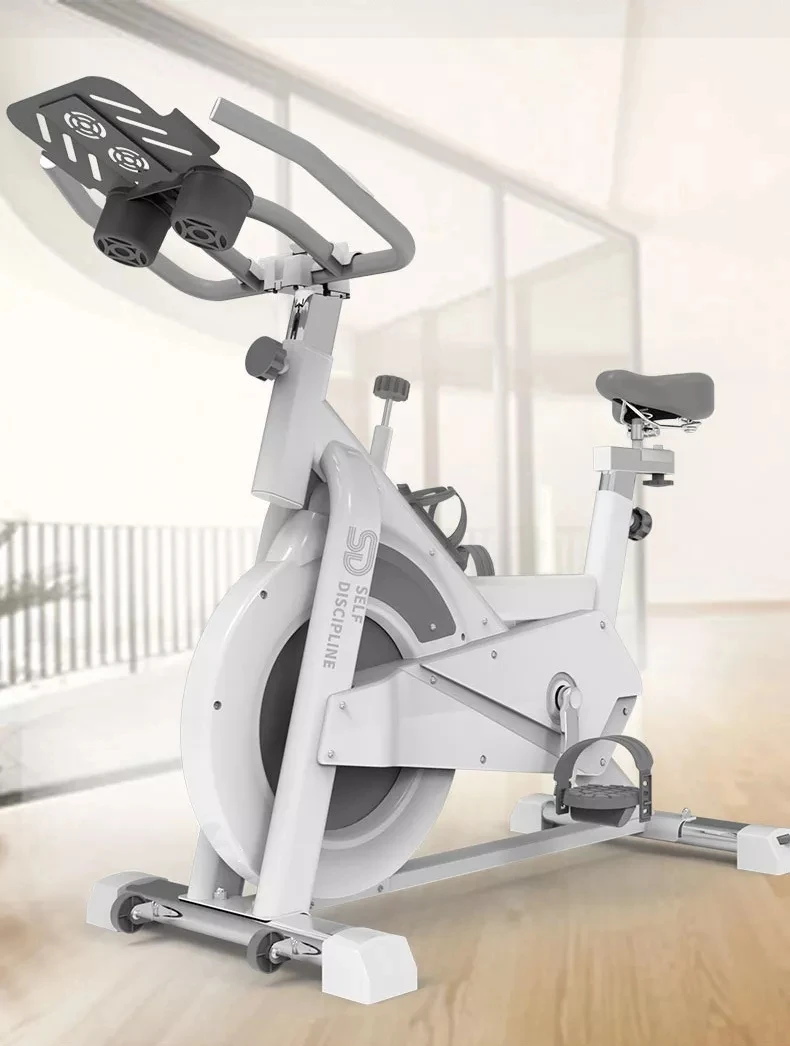 Indoor Fitness Equipment Exercise Professional Silent Heavy Duty Smart Spinning Bike