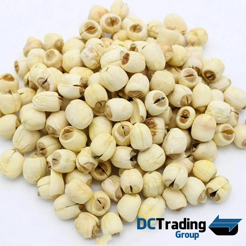 
High Quality White Natural Dried Lotus Seeds - Best Price For 100% Natural Lotus Seed - Dried Lotus Seeds From Vietnam 