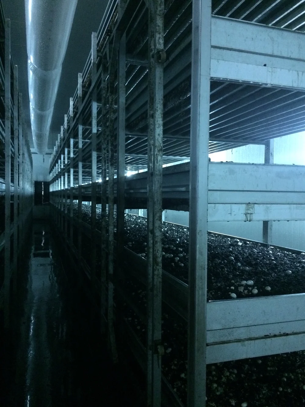 
Best selling!! Mushroom Growing NETS for Growing racks, for Mushroom greenhouse modern farm/Mushroom Growing shelves 