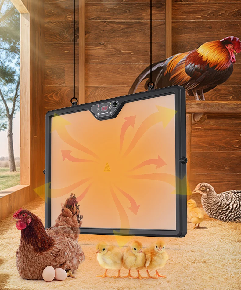 Wholesale poultry electric brooder heater for chick heating plate heater egg incubation breeding