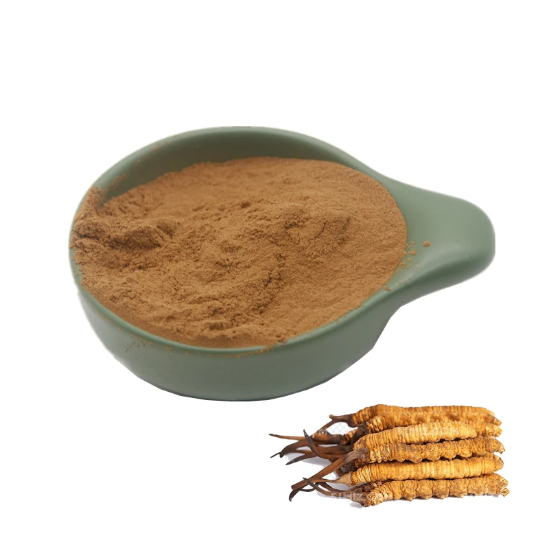 Cordyceps Polysaccharide 30% Cordyceps Sinensis Mushroom Extract Powder
