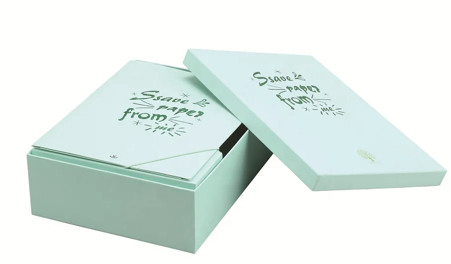 Customized Printing of Personal Design A4 File Storage Box