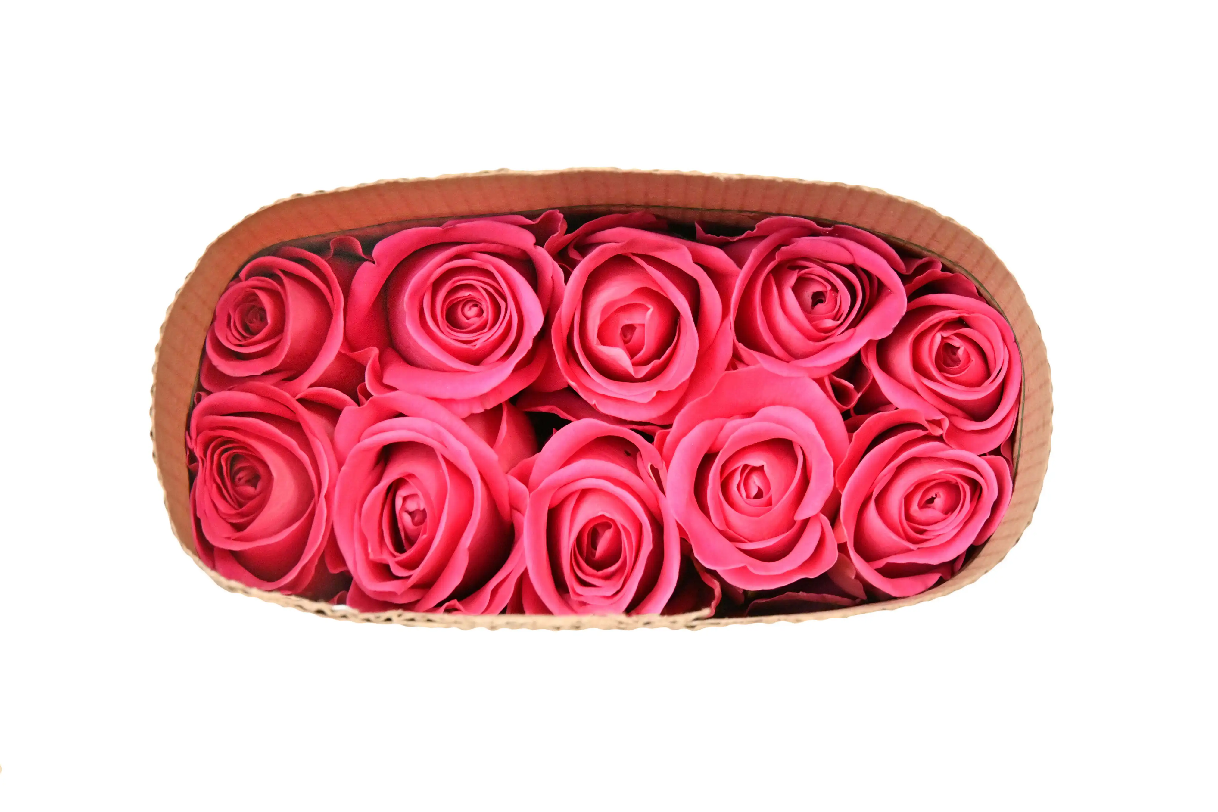 Kenyan Pink Fresh Cut Roses 3.5cm Headsize 52cm Stem Wholesale Retail for Christmas Wedding Flowers Minimum Order Bouquet