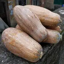 Лучшая покупка свежей тыквы из Китая, картонные коробки желтого цвета