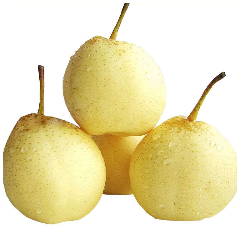 China Xinjiang Wholesale High Quality Delicious Fresh Korla Fragrant Pear