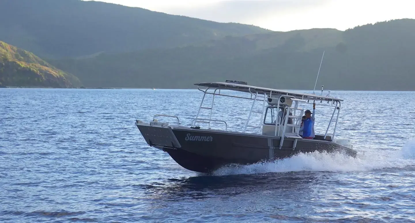 Custom Design 27ft luxury aluminum landing craft multipurpose landing craft