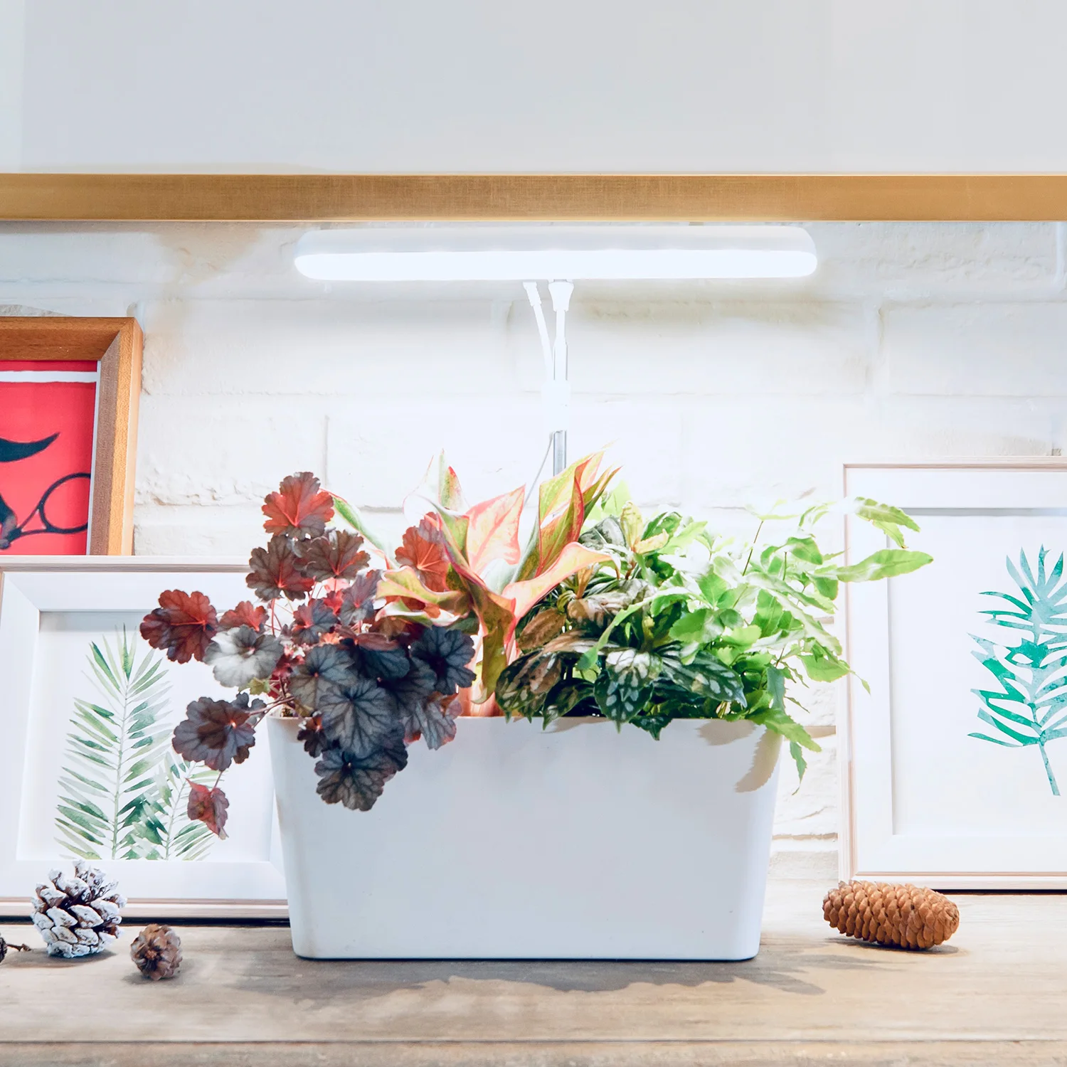 Indoor Garden LED Plant Grow Light Smart Plant Pot Vegetable Seed Planter Height Adjustable Plant Kit for Desk