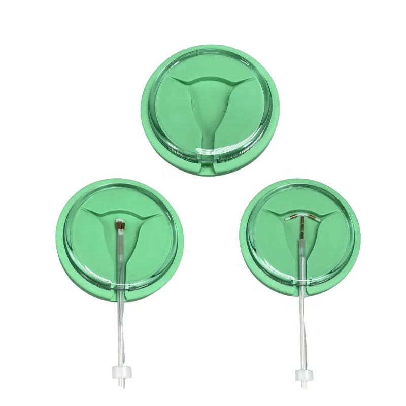 Рекламная женская модель IUD для продвижения и обучения устройств IUD