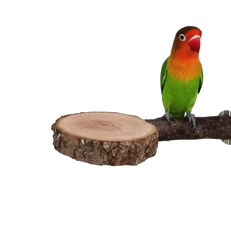 Pure Durable Wooden Bird Parrots Nature Wood Stand Bird Perch in Pet Cage Accessories in Pet Products Toys