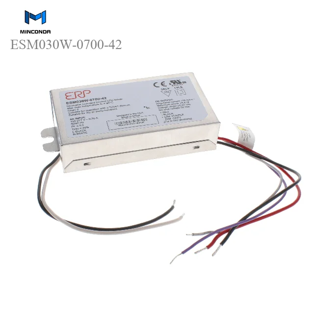 ((LED drivers)) ESM030W-0700-42