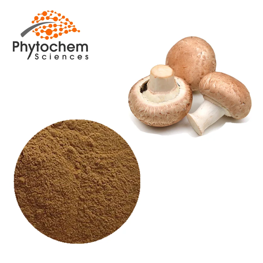
Halal Certificate Top Grade For Anticancer 30% Polysacharides Dried Shiitake Mushroom Extract 