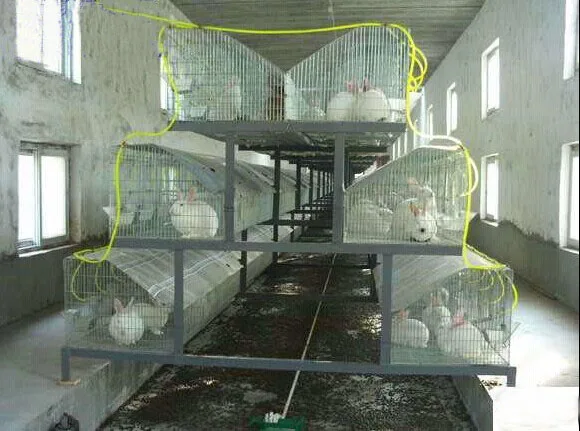 Mesh Wire Farming Rabbit Cage in Kenya Farm for Hot Sale