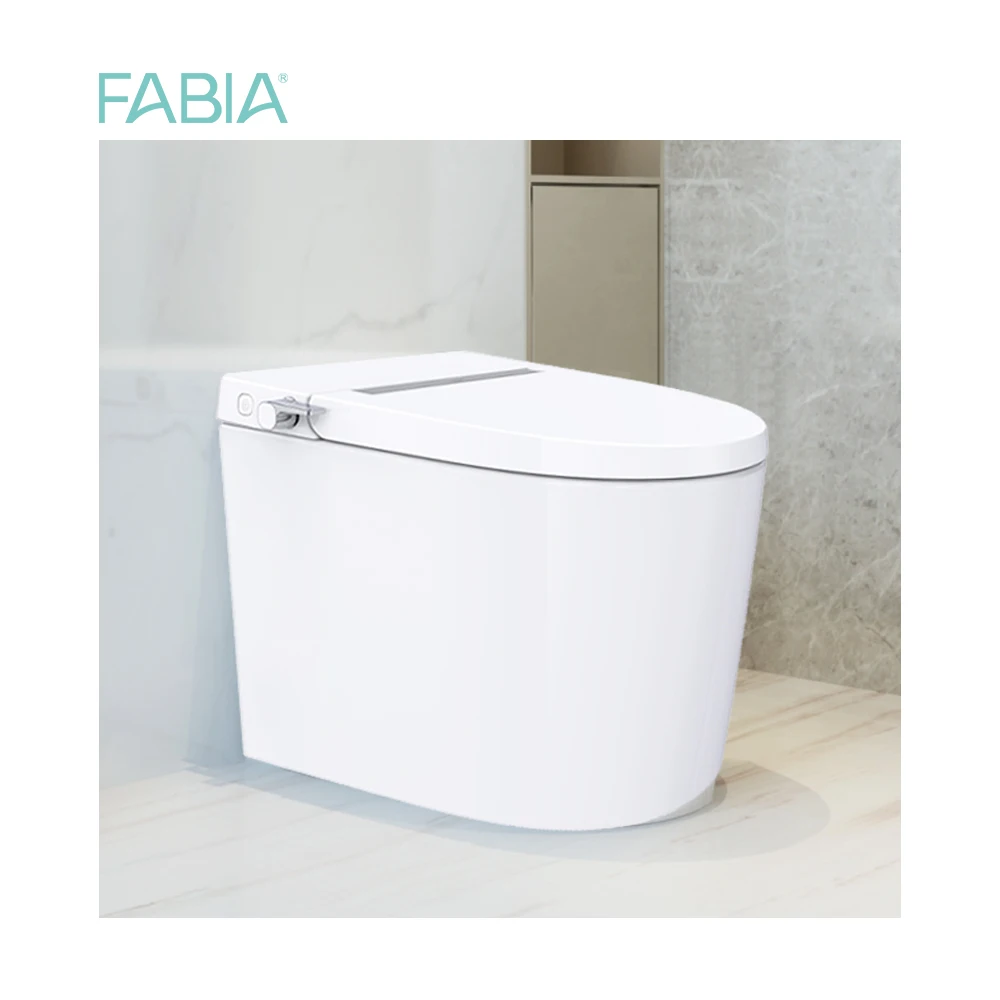 Economic Modern Rimless Smart Wc Ceramic Back To Wall Toilet Bowls With Bidet Function
