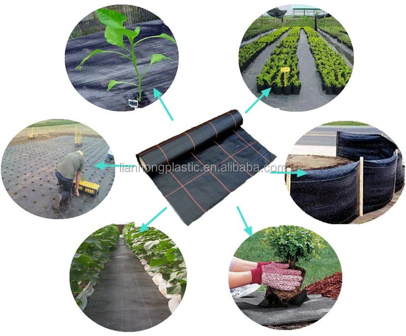 Woven Weed Control Pp Weed Control Mat Garden Landscape Fabric For Blueberry Factory Price Shandong Factory Direct Sale