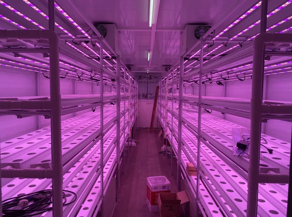 Agricultural Farm Container Plant Factory Intelligent Mobile Growing Container Equipment 40HQ Container
