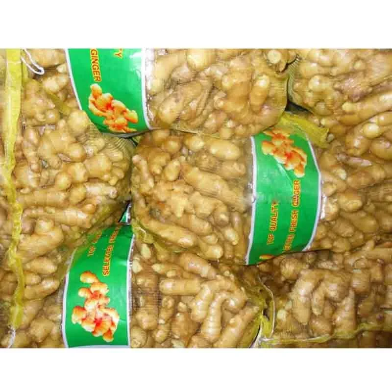 Optimum top quality fresh ginger /air dry ginger hot sales factory price supplier price